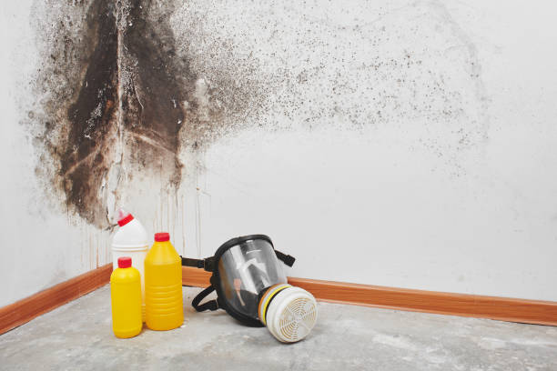 Best Post-Remediation Services in Broken Bow, NE