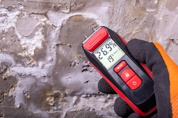 Best Preventive Mold Services in Broken Bow, NE
