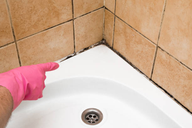 Best Residential Mold Remediation in Broken Bow, NE